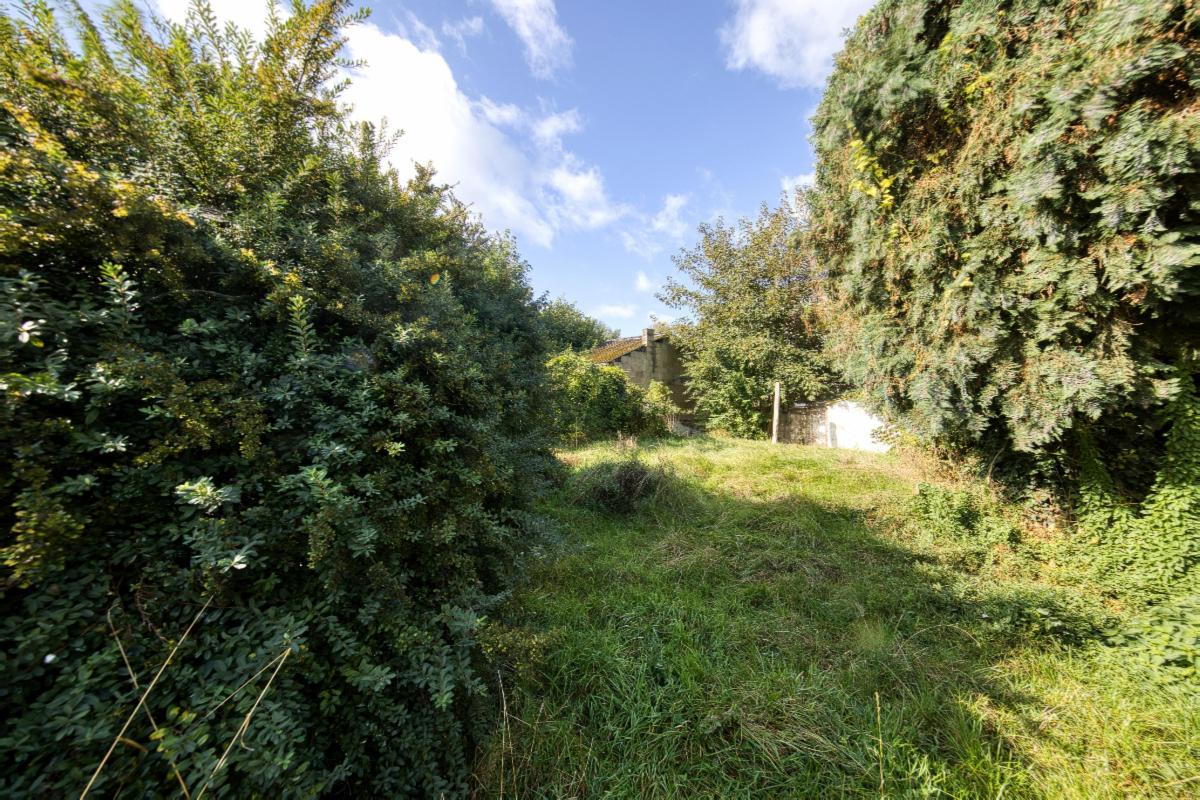 photo 4 du bien 174860